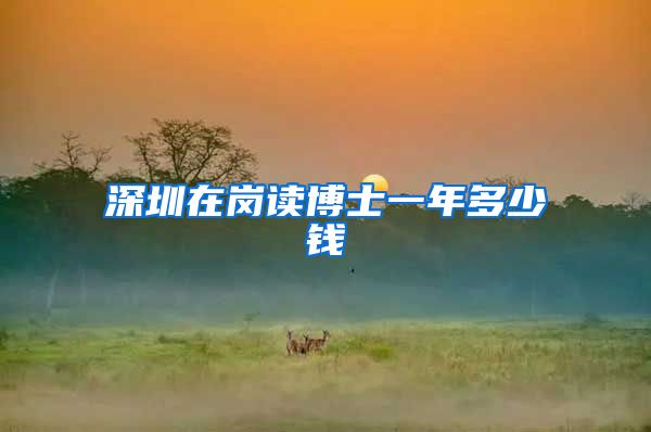 深圳在岗读博士一年多少钱