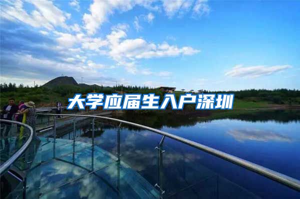 大学应届生入户深圳