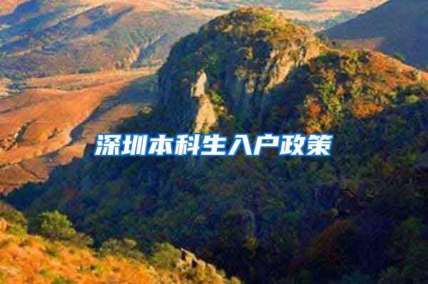 深圳本科生入户政策