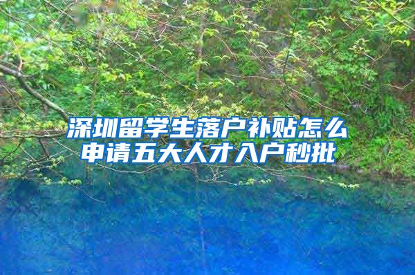 深圳留学生落户补贴怎么申请五大人才入户秒批