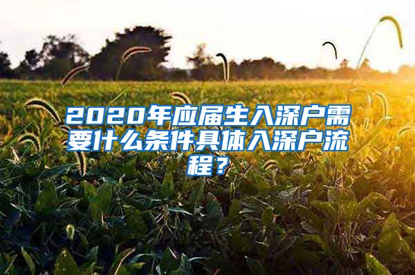 2020年应届生入深户需要什么条件具体入深户流程？