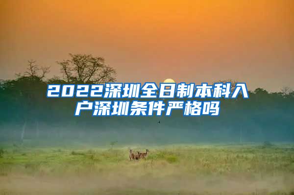2022深圳全日制本科入户深圳条件严格吗