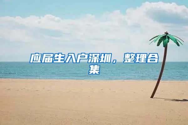 应届生入户深圳，整理合集
