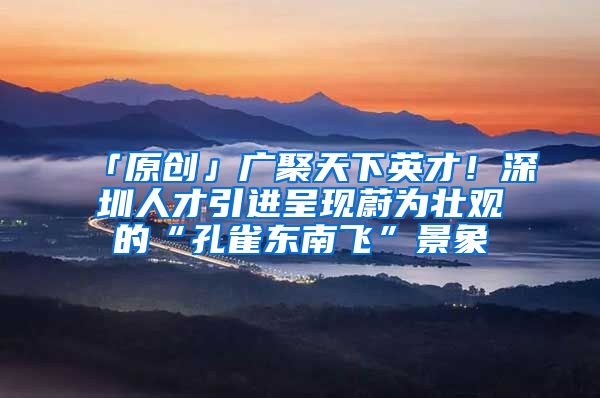 「原创」广聚天下英才！深圳人才引进呈现蔚为壮观的“孔雀东南飞”景象