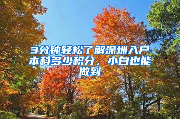 3分钟轻松了解深圳入户本科多少积分，小白也能做到