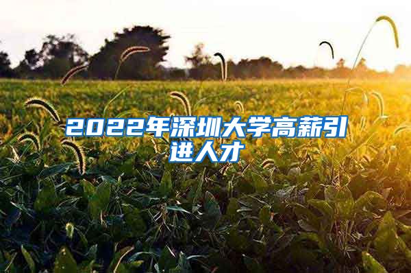 2022年深圳大学高薪引进人才