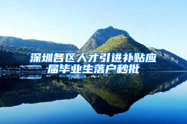深圳各区人才引进补贴应届毕业生落户秒批