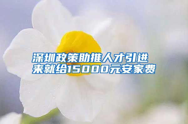 深圳政策助推人才引进 来就给15000元安家费