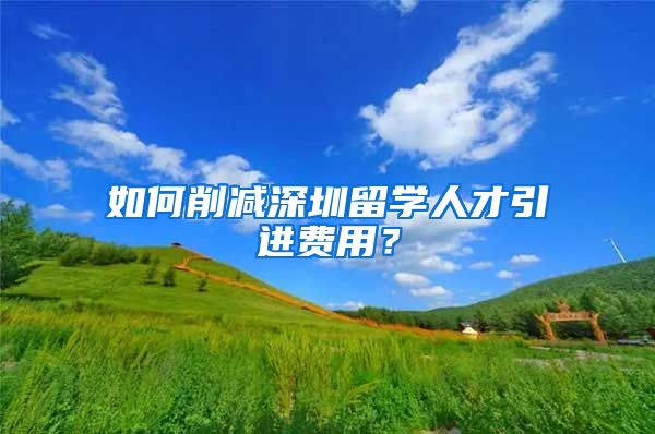 如何削减深圳留学人才引进费用？