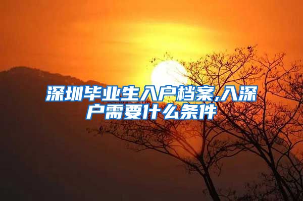 深圳毕业生入户档案,入深户需要什么条件