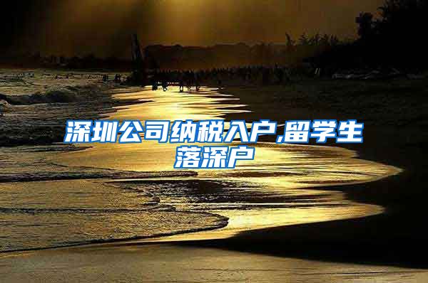 深圳公司纳税入户,留学生落深户