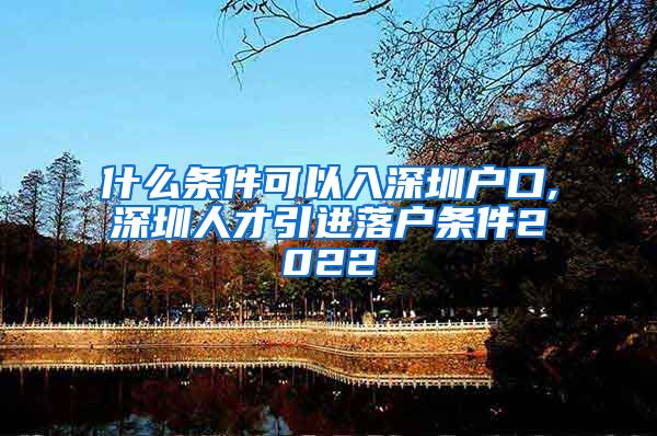 什么条件可以入深圳户口,深圳人才引进落户条件2022