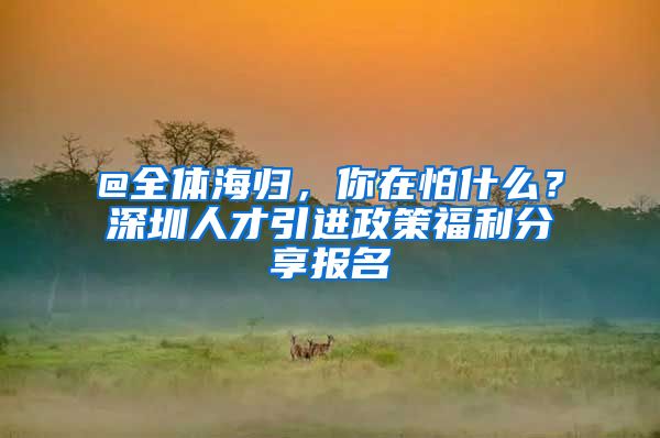@全体海归，你在怕什么？深圳人才引进政策福利分享报名