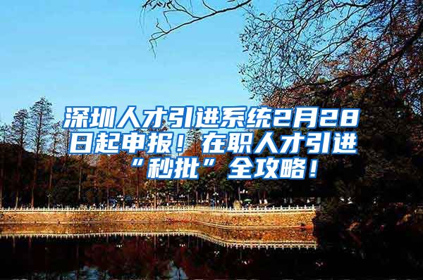深圳人才引进系统2月28日起申报！在职人才引进“秒批”全攻略！