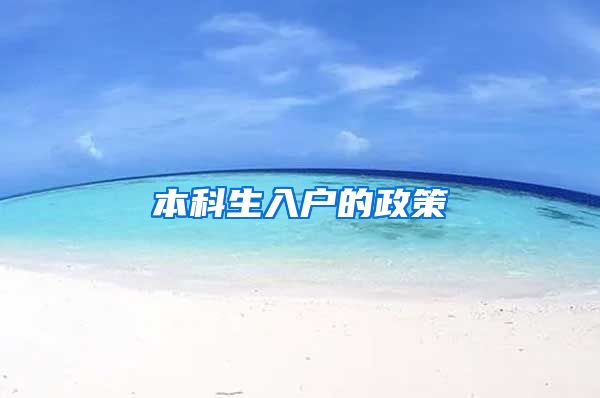 本科生入户的政策