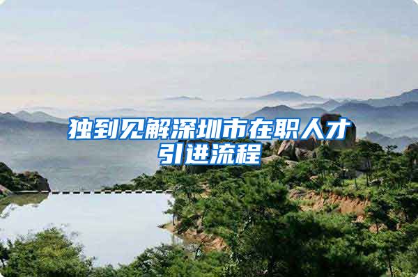 独到见解深圳市在职人才引进流程