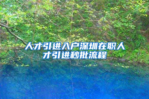人才引进入户深圳在职人才引进秒批流程