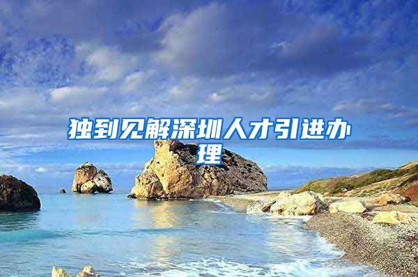 独到见解深圳人才引进办理