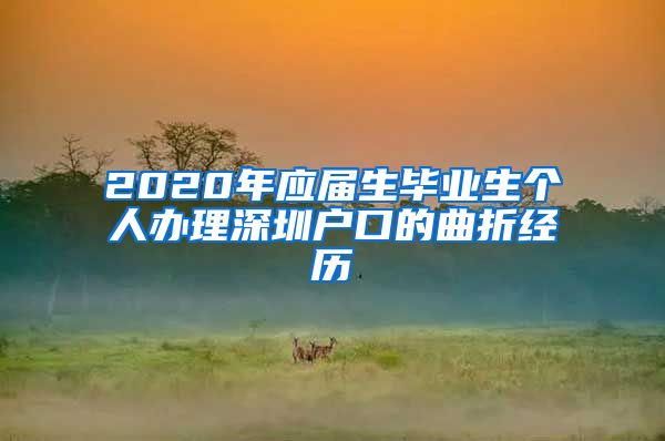 2020年应届生毕业生个人办理深圳户口的曲折经历