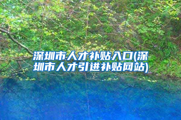 深圳市人才补贴入口(深圳市人才引进补贴网站)