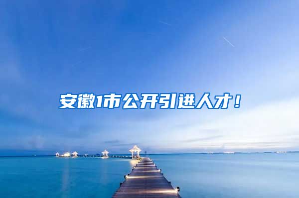 安徽1市公开引进人才！