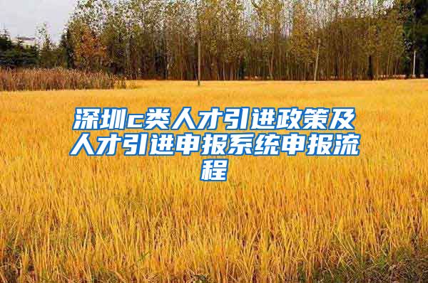 深圳c类人才引进政策及人才引进申报系统申报流程