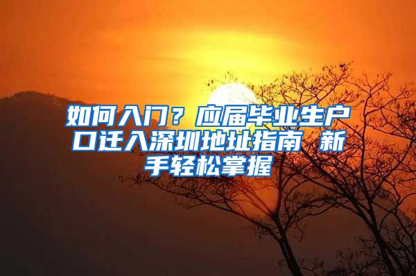 如何入门？应届毕业生户口迁入深圳地址指南 新手轻松掌握