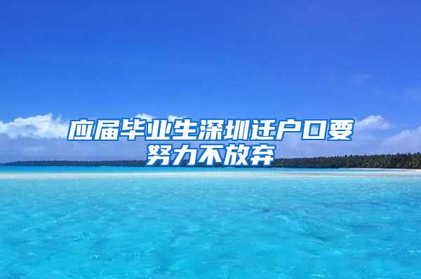 应届毕业生深圳迁户口要努力不放弃