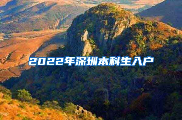 2022年深圳本科生入户