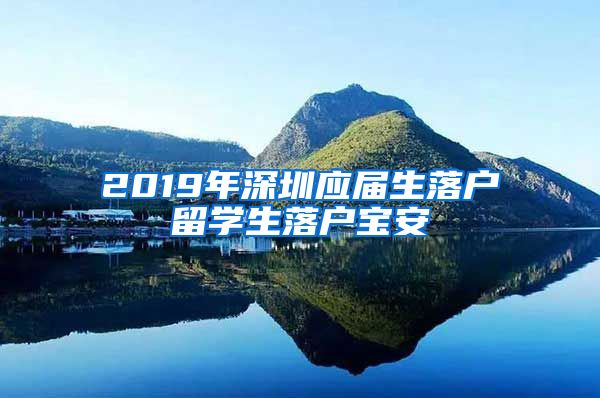 2019年深圳应届生落户留学生落户宝安