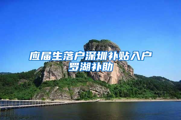 应届生落户深圳补贴入户罗湖补助