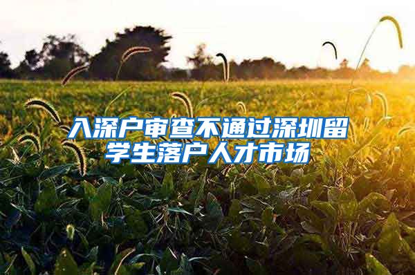 入深户审查不通过深圳留学生落户人才市场