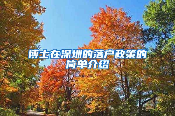 博士在深圳的落户政策的简单介绍