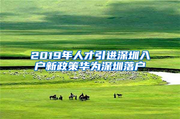 2019年人才引进深圳入户新政策华为深圳落户