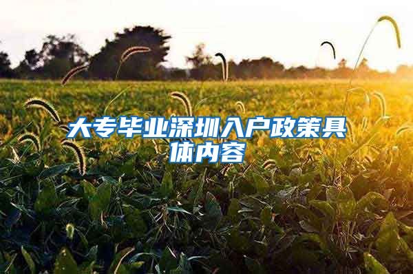大专毕业深圳入户政策具体内容