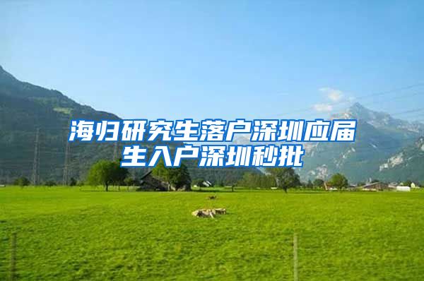 海归研究生落户深圳应届生入户深圳秒批