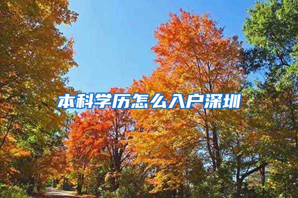 本科学历怎么入户深圳