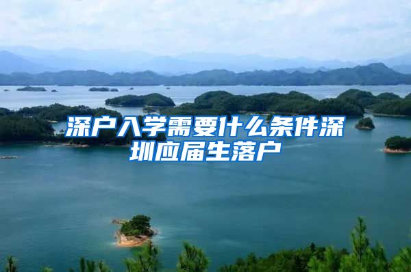 深户入学需要什么条件深圳应届生落户