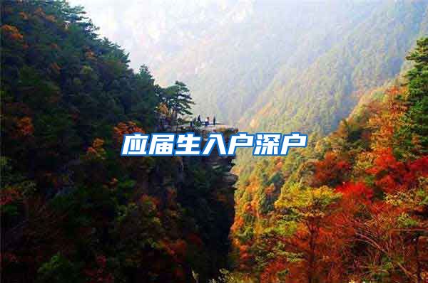 应届生入户深户