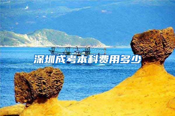 深圳成考本科费用多少