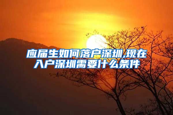 应届生如何落户深圳,现在入户深圳需要什么条件
