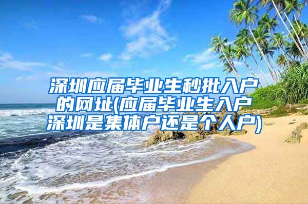 深圳应届毕业生秒批入户的网址(应届毕业生入户深圳是集体户还是个人户)