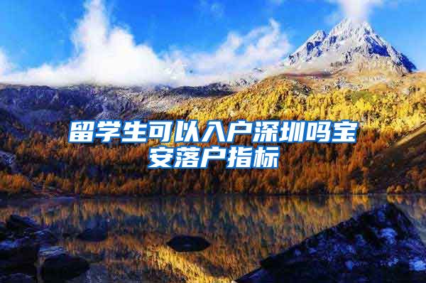 留学生可以入户深圳吗宝安落户指标