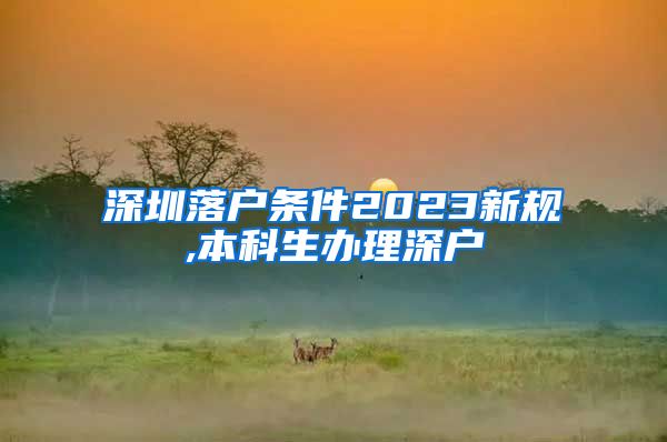 深圳落户条件2023新规,本科生办理深户