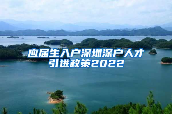 应届生入户深圳深户人才引进政策2022