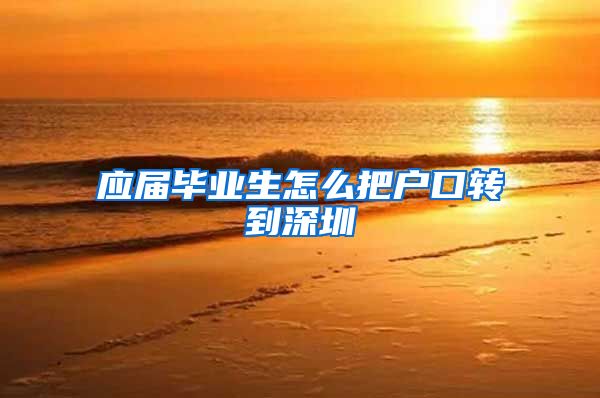 应届毕业生怎么把户口转到深圳
