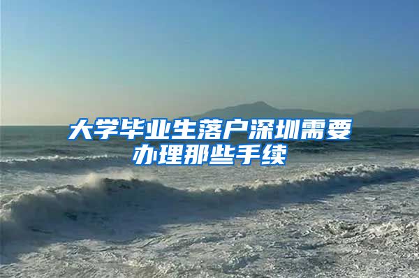 大学毕业生落户深圳需要办理那些手续