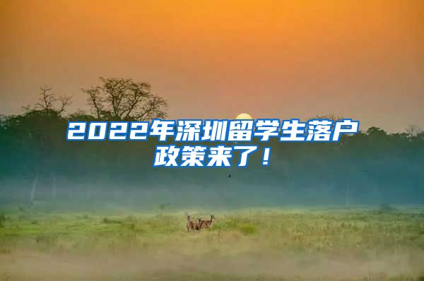 2022年深圳留学生落户政策来了！