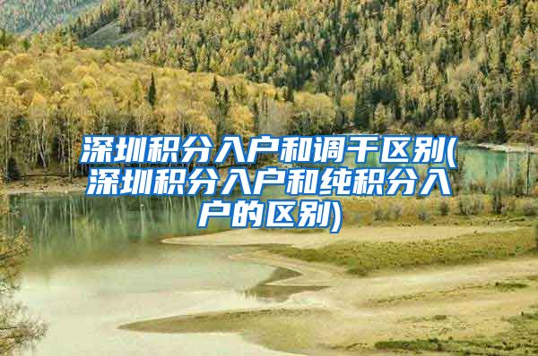 深圳积分入户和调干区别(深圳积分入户和纯积分入户的区别)