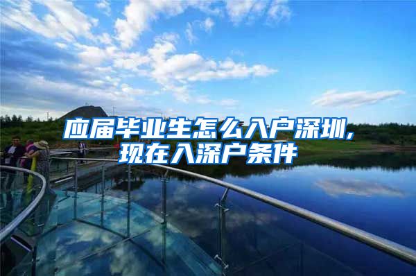 应届毕业生怎么入户深圳,现在入深户条件